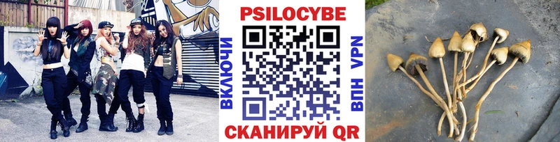 Псилоцибиновые грибы Cubensis  Пыталово 